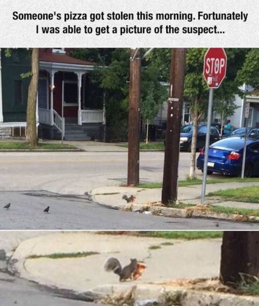 daily picdump 101 pics 51.html - 101 HD Photos | Premium Gallery 2016