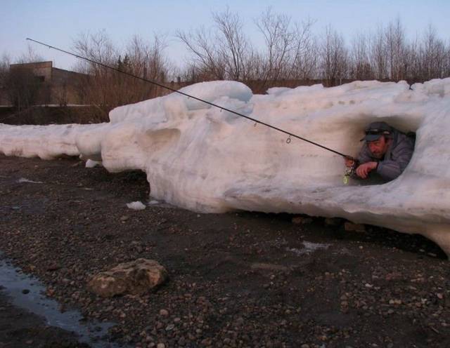 daily picdump 101 pics 51.html - 101 HD Photos | Premium Gallery 2016