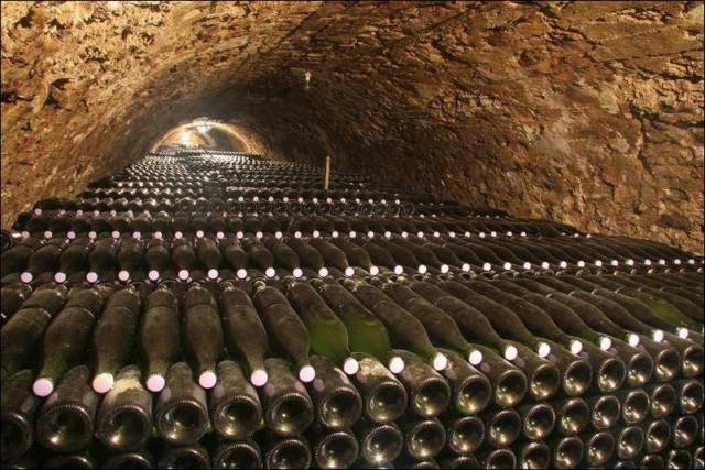 daily picdump 101 pics 51.html - 101 HD Photos | Premium Gallery 2016