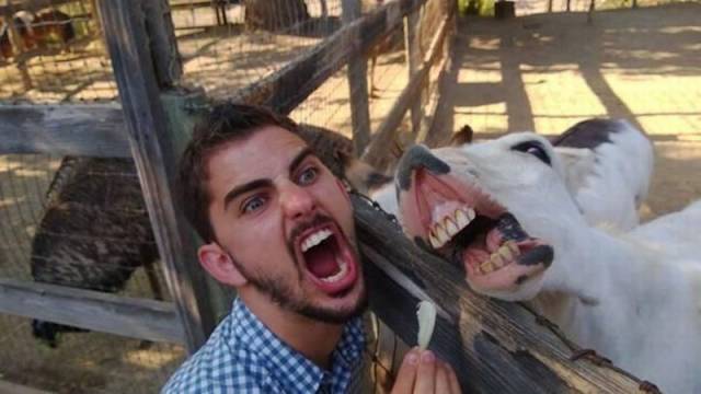 daily picdump 101 pics 51.html - 101 HD Photos | Premium Gallery 2016