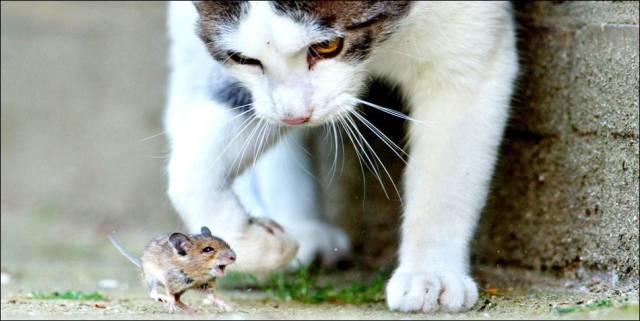 daily picdump 101 pics 51.html - 101 HD Photos | Premium Gallery 2016