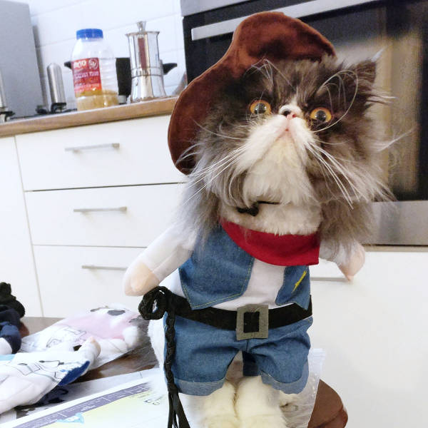 morning picdump 54 pics 12.html - 54 HD Photos | Premium Gallery 2016