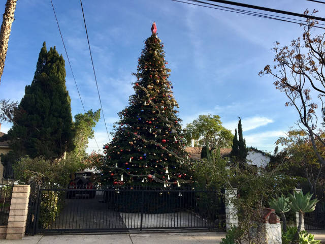 morning picdump 54 pics 12.html - 54 HD Photos | Premium Gallery 2016