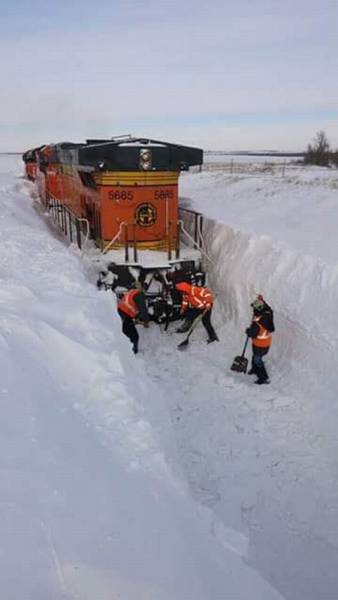 Daily Picdump [WEEKEND EDITION]