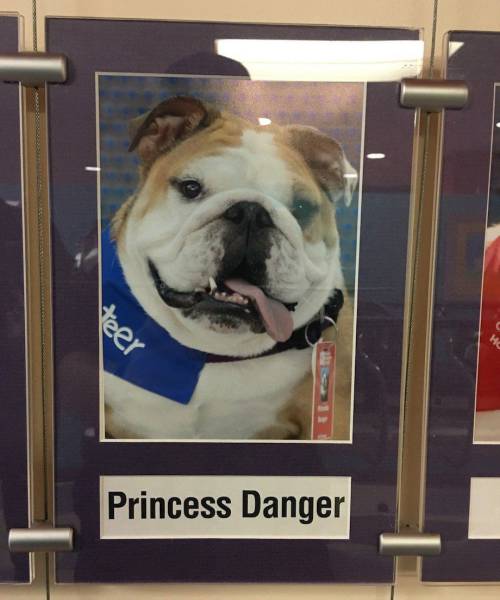 Daily Picdump [WEEKEND EDITION]