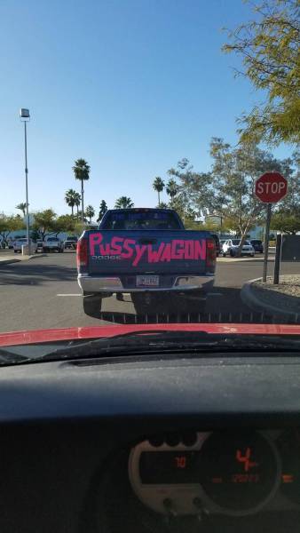 Daily Picdump [WEEKEND EDITION]