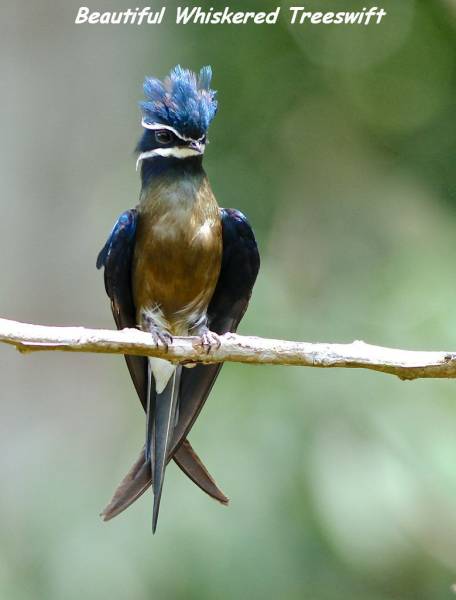 daily picdump weekend edition 73 pics 5.html - 73 HD Photos | Premium Gallery 2016