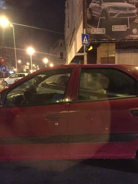 daily picdump weekend edition 73 pics 5.html - 73 HD Photos | Premium Gallery 2016