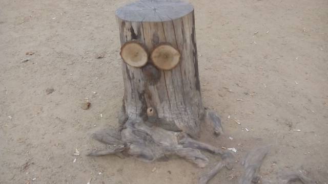 daily picdump weekend edition 73 pics 5.html - 73 HD Photos | Premium Gallery 2016