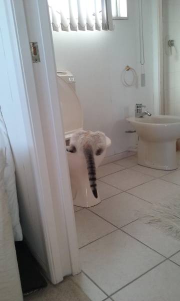 daily picdump 100 pics 9.html - 100 HD Photos | Premium Gallery 2016