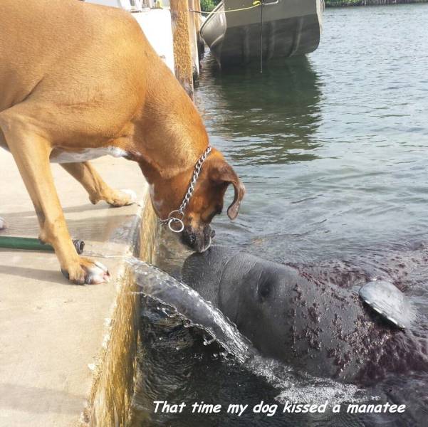 daily picdump 100 pics 9.html - 100 HD Photos | Premium Gallery 2016