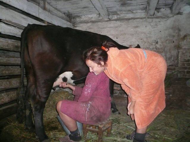 daily picdump 100 pics 9.html - 100 HD Photos | Premium Gallery 2016