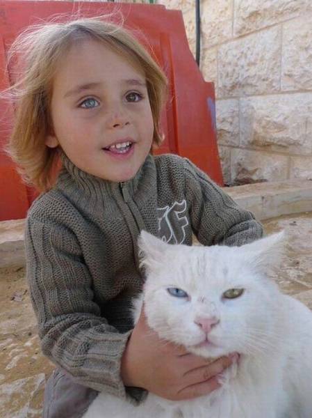 daily picdump 100 pics 9.html - 100 HD Photos | Premium Gallery 2016