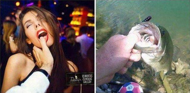 daily picdump 95 pics 46.html - 95 HD Photos | Premium Gallery 2016