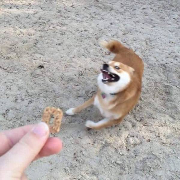 daily picdump 95 pics 46.html - 95 HD Photos | Premium Gallery 2016