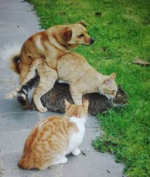 daily picdump 95 pics 46.html - 95 HD Photos | Premium Gallery 2016