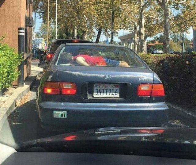 daily picdump 95 pics 46.html - 95 HD Photos | Premium Gallery 2016