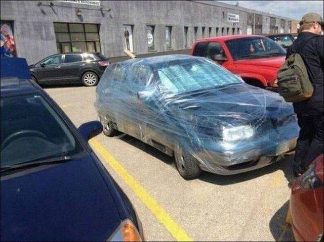 daily picdump 95 pics 46.html - 95 HD Photos | Premium Gallery 2016