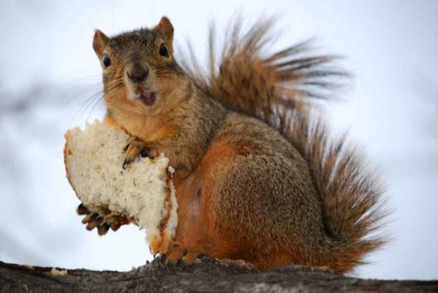 daily picdump 95 pics 46.html - 95 HD Photos | Premium Gallery 2016