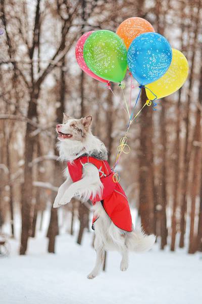 daily picdump 95 pics 46.html - 95 HD Photos | Premium Gallery 2016