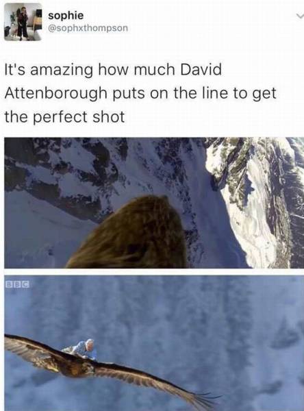 daily picdump 95 pics 46.html - 95 HD Photos | Premium Gallery 2016