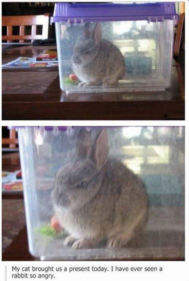 daily picdump 95 pics 46.html - 95 HD Photos | Premium Gallery 2016