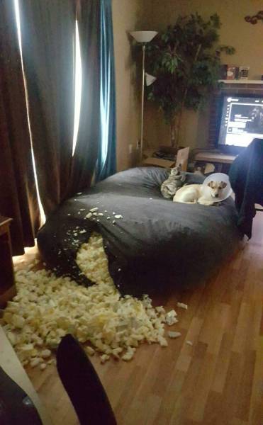 morning picdump 53 pics 17.html - 53 HD Photos | Premium Gallery 2016