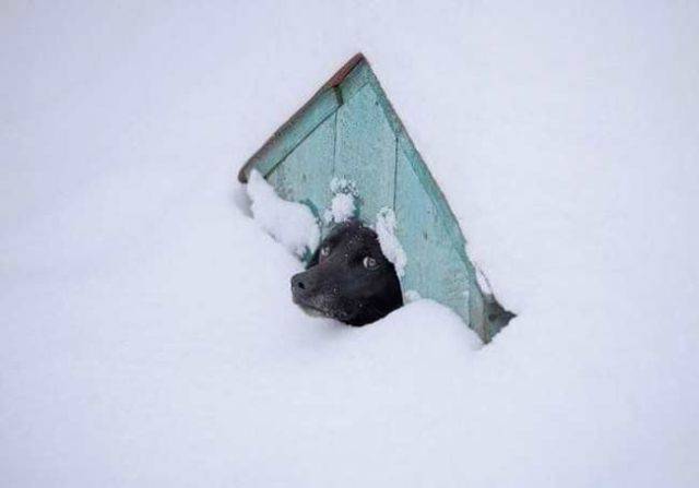 daily picdump 102 pics 29.html - 102 HD Photos | Premium Gallery 2016