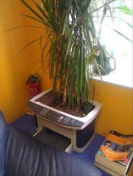 daily picdump 102 pics 29.html - 102 HD Photos | Premium Gallery 2016