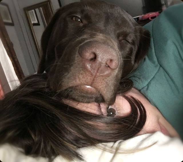 daily picdump 102 pics 29.html - 102 HD Photos | Premium Gallery 2016