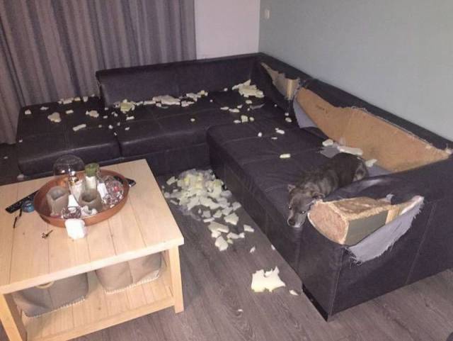 daily picdump 102 pics 29.html - 102 HD Photos | Premium Gallery 2016