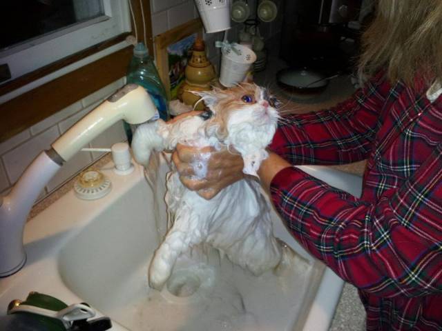 daily picdump 102 pics 29.html - 102 HD Photos | Premium Gallery 2016