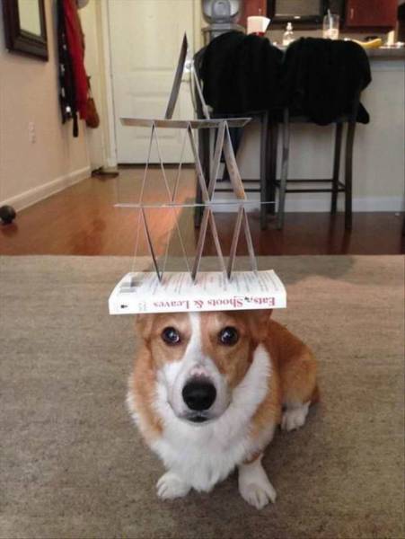 daily picdump 102 pics 29.html - 102 HD Photos | Premium Gallery 2016