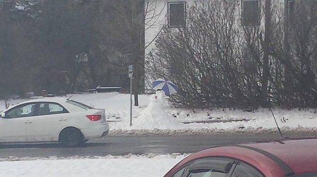 daily picdump 102 pics 29.html - 102 HD Photos | Premium Gallery 2016