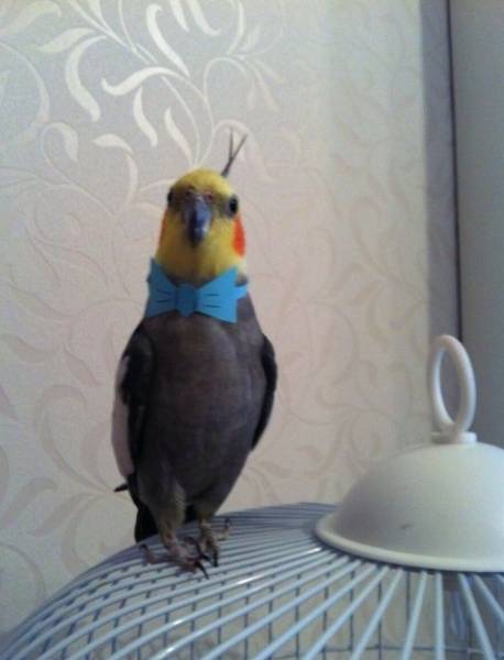 daily picdump 102 pics 29.html - 102 HD Photos | Premium Gallery 2016