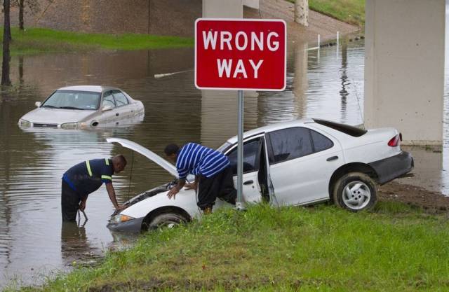 daily picdump 102 pics 29.html - 102 HD Photos | Premium Gallery 2016