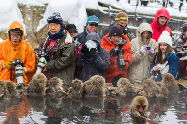 daily picdump 102 pics 29.html - 102 HD Photos | Premium Gallery 2016