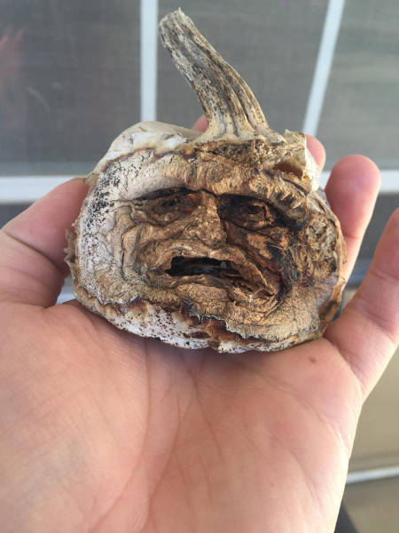 morning picdump 50 pics 12.html - 50 HD Photos | Premium Gallery 2016