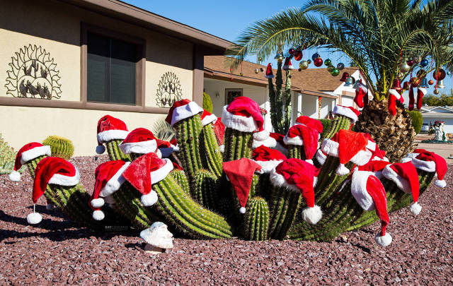 morning picdump 50 pics 12.html - 50 HD Photos | Premium Gallery 2016