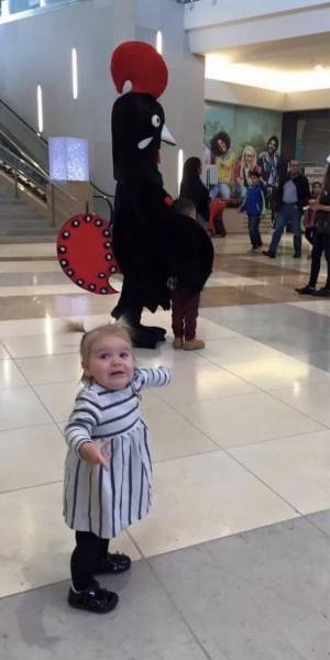 daily picdump 92 pics 13.html - 92 HD Photos | Premium Gallery 2016