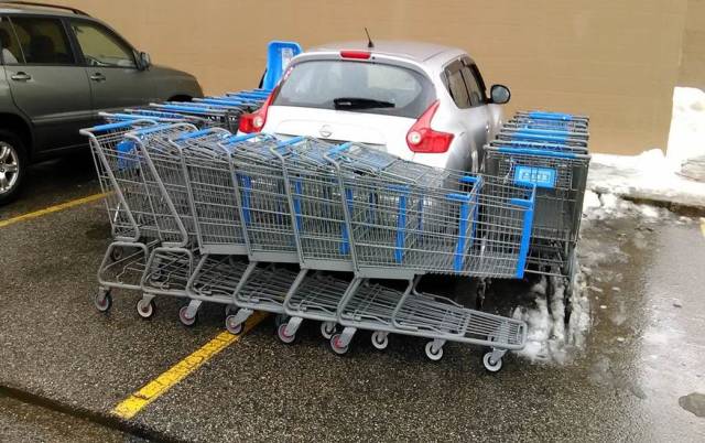 daily picdump 92 pics 13.html - 92 HD Photos | Premium Gallery 2016