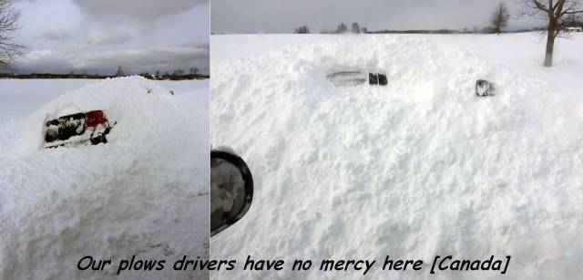 daily picdump 92 pics 13.html - 92 HD Photos | Premium Gallery 2016