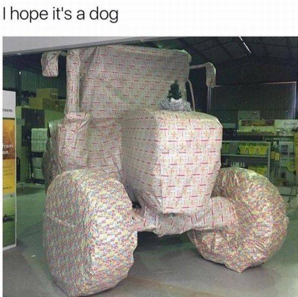 daily picdump 92 pics 13.html - 92 HD Photos | Premium Gallery 2016