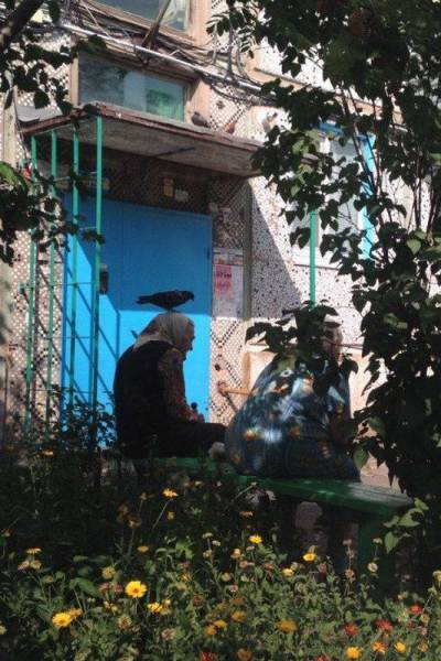 daily picdump 92 pics 13.html - 92 HD Photos | Premium Gallery 2016