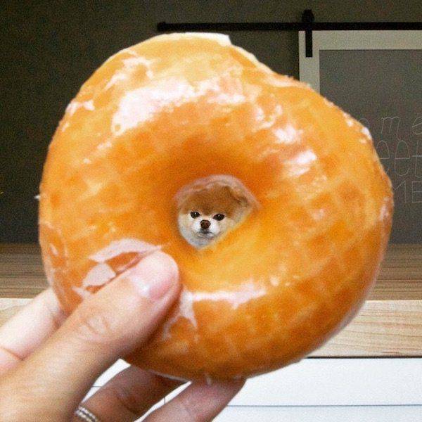 daily picdump 92 pics 13.html - 92 HD Photos | Premium Gallery 2016