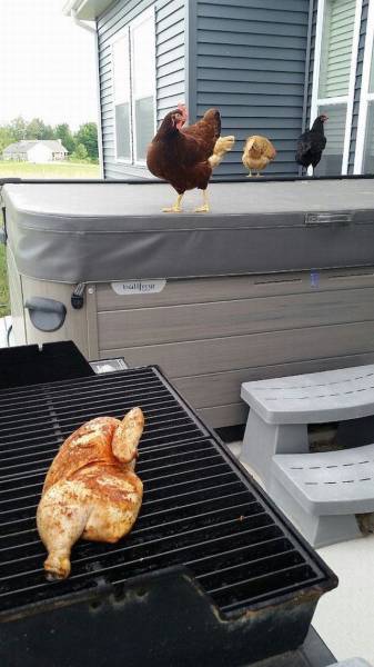 daily picdump 92 pics 13.html - 92 HD Photos | Premium Gallery 2016