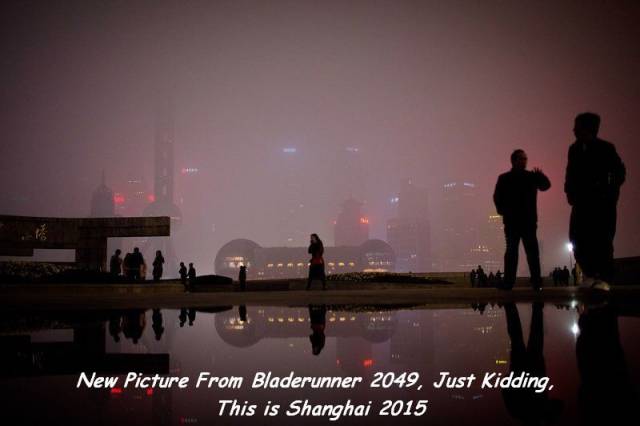 daily picdump 92 pics 13.html - 92 HD Photos | Premium Gallery 2016