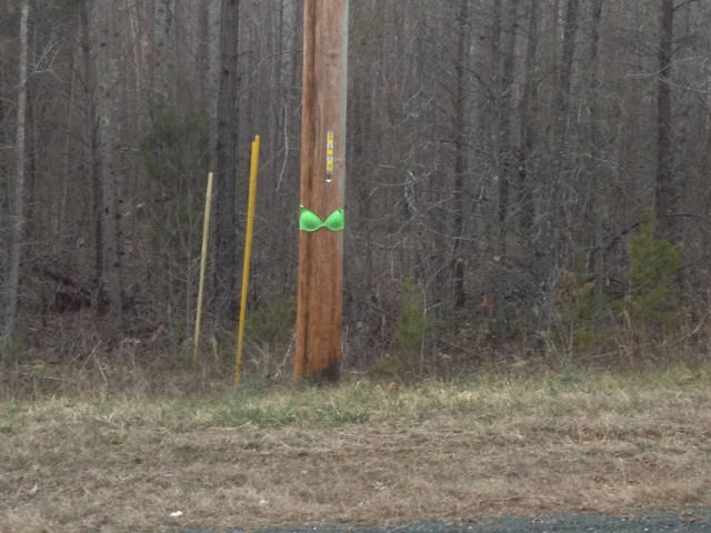 morning picdump 50 pics 17.html - 50 HD Photos | Premium Gallery 2016