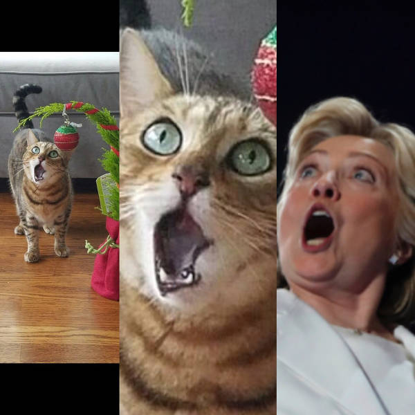 morning picdump 50 pics 17.html - 50 HD Photos | Premium Gallery 2016