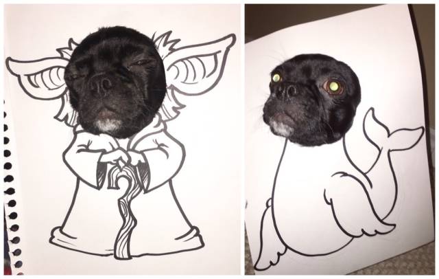 morning picdump 50 pics 17.html - 50 HD Photos | Premium Gallery 2016